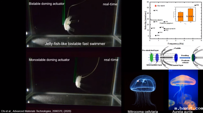 1593764650407400.png https://mmbiz.qpic.cn/mmbiz_png/xu5AicXVnOngLcXTMoYgrEicD3Iu7n1fr9UJ69xIgNOvBgR1gm3nE6iciammbBX24uL0d7frqXHPkibSZCbBwqIolIg/640?wx_fmt=png&wxfrom=5&wx_lazy=1&wx_co=1