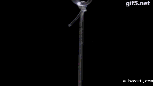 1594603708689513.gif https://mmbiz.qpic.cn/mmbiz_gif/LJiau2qPWAcXtNZxgc1iaXvm6lerwzzesfic4QlNa4a6KHicePeITSp0vepiaX616qpCfZnxg3hobdF3KErLBdkiauLg/640?wx_fmt=gif&wxfrom=5&wx_lazy=1